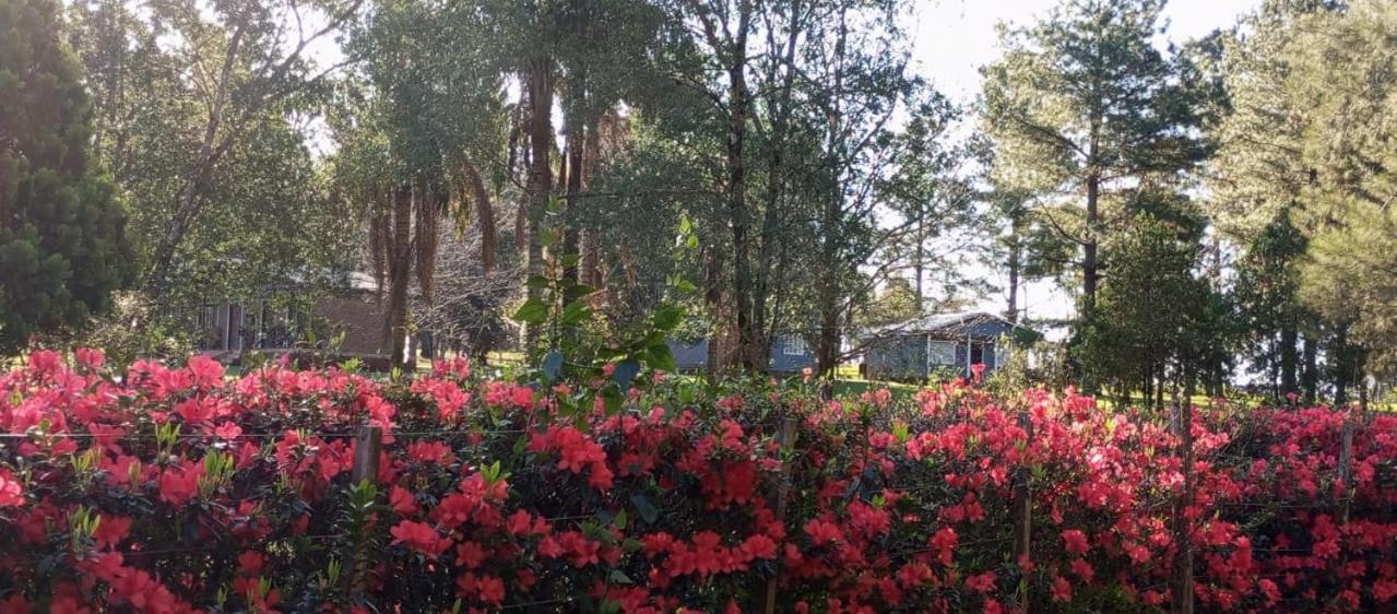 Hotel Las Azaleas Jardín América Екстериор снимка