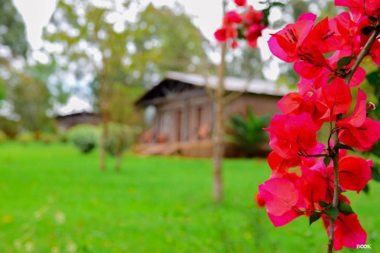 Hotel Las Azaleas Jardín América Екстериор снимка