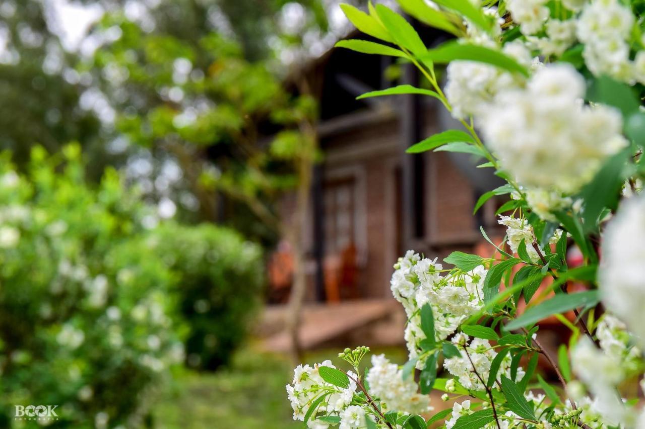 Hotel Las Azaleas Jardín América Екстериор снимка